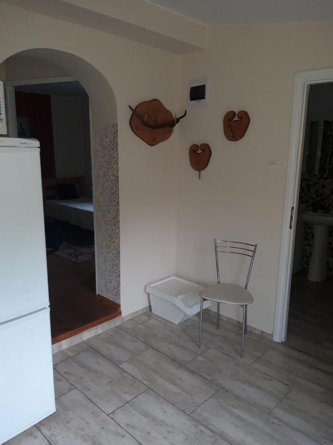 Pokoje W Lesie Miłomłyn Buitenkant foto